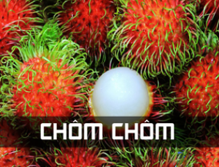 quả chôm chôm 